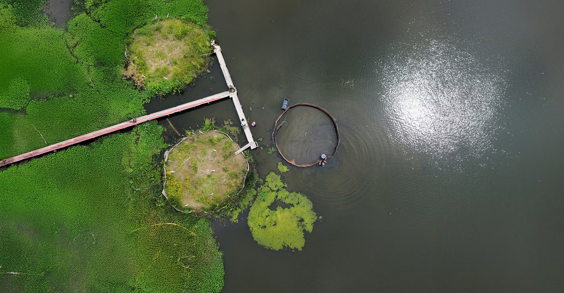 Pogled iz zraka na dva otoka, posajena z rastlinjem, in tretjega v gradnji.