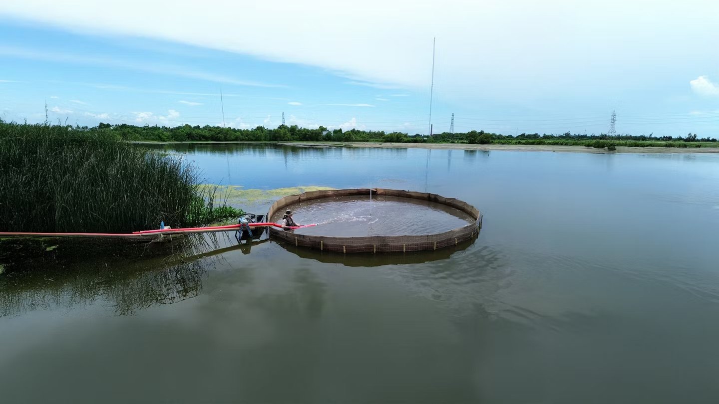 Gradnja otoka iz peska iz recikliranega stekla v mokrišču Bayou Bienvenue.