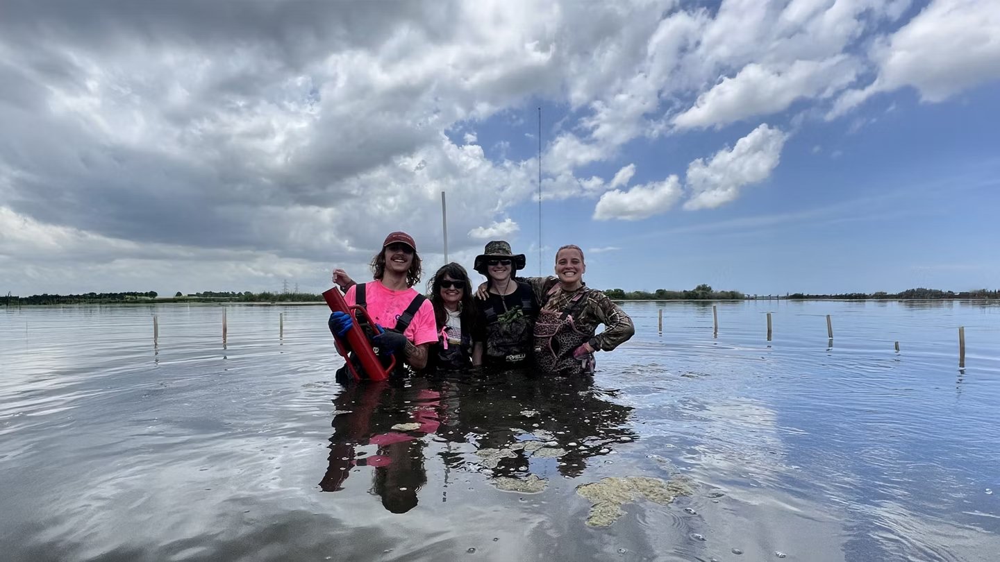 Gradnja otoka iz peska iz recikliranega stekla v mokrišču Bayou Bienvenue.