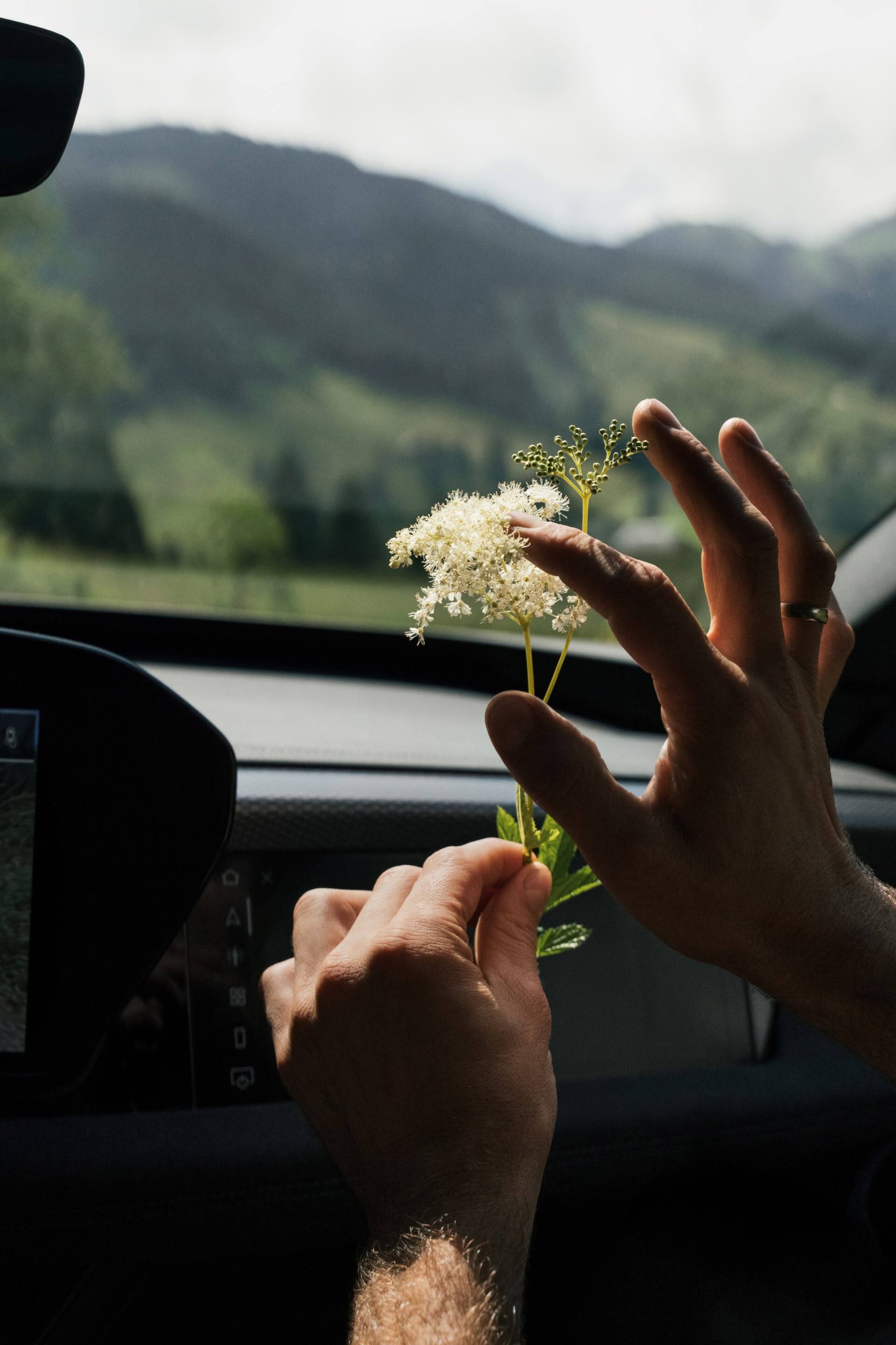 Vitus Winkler v rokah drži močvirski oslad.